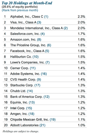 USA-Top-20-Holdings-Table